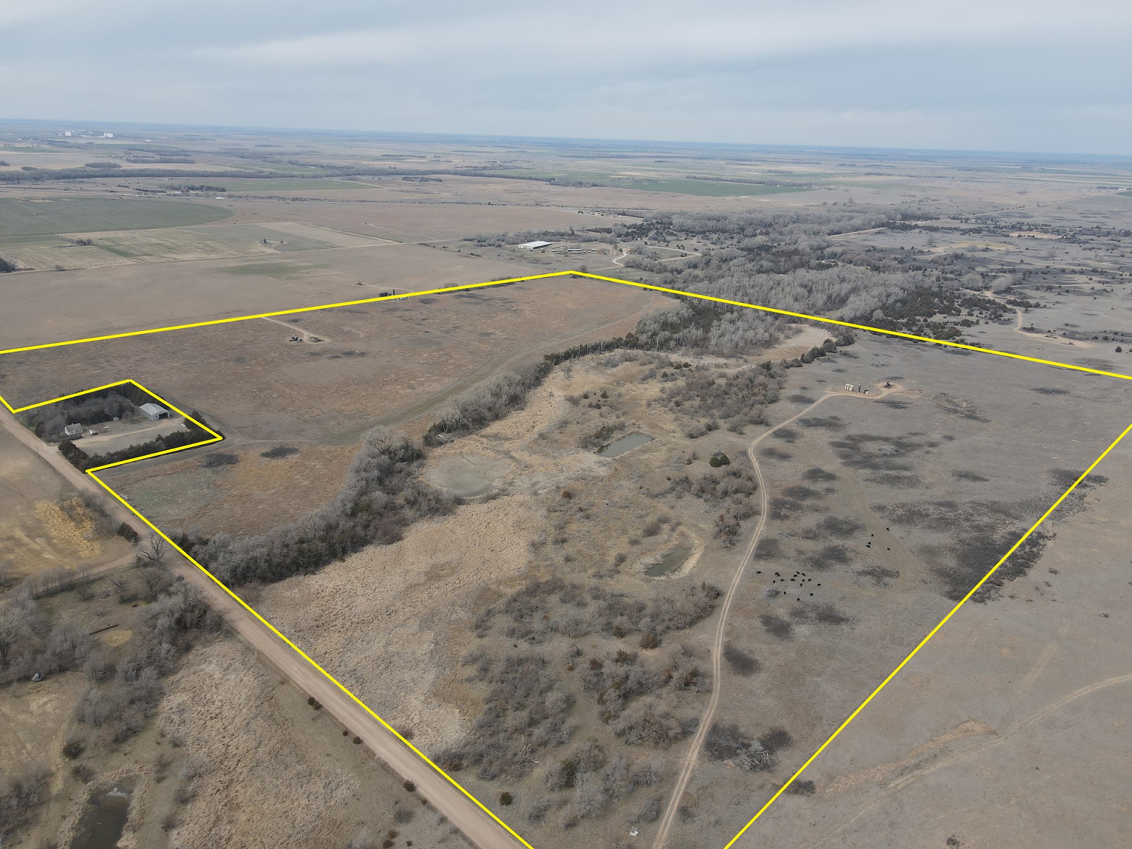 Land for sale in Pratt, Kansas, 41022C1679950979774