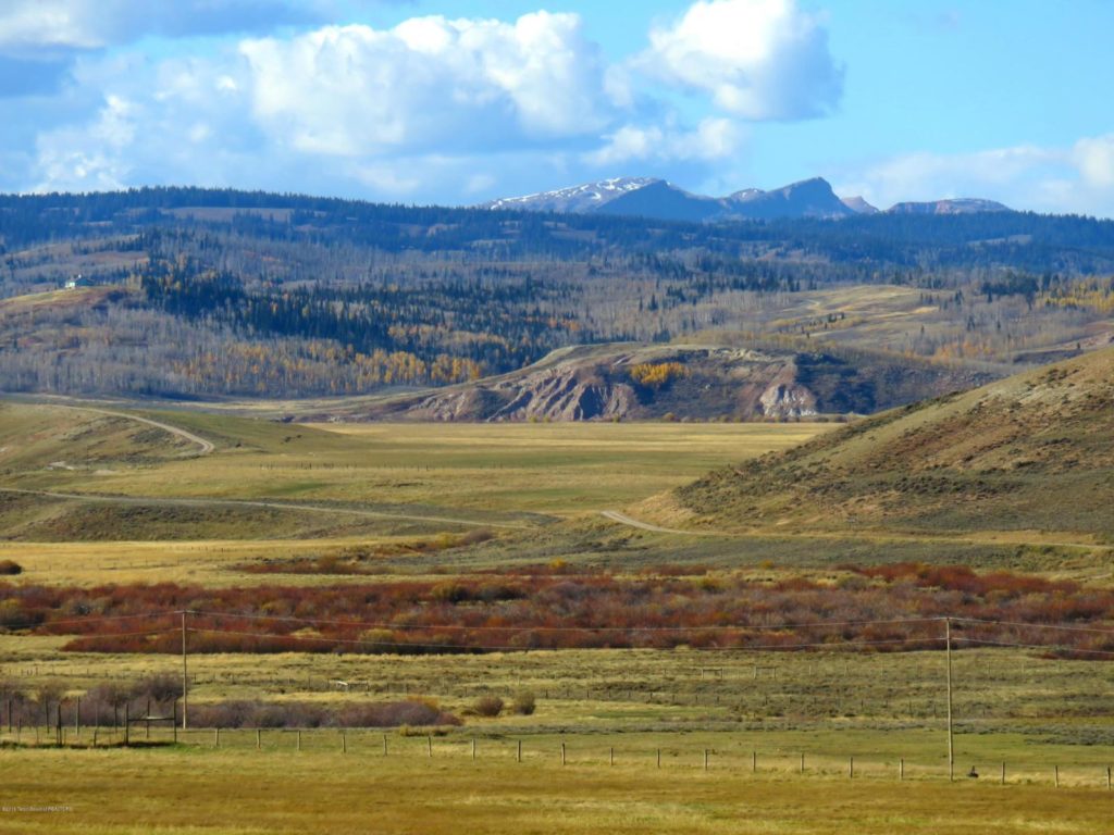 The owner is offering a 1/2 undivided interest in the ranch valued by the owner at $60,000,000. Please call for details concerning this opportunity and to receive the ranch video and brochure. A concept ranch master plan has been completed to highlight the extraordinary conservation characteristics of the ranch reserve. This is an operating cattle ranch running about 5,000 yearlings, with remarkable hunting and fishing along the N Cottonwood Creek and the N & S Forks of Horse Creek. There are over 8 miles of USFS boundary with an outfitter permit on about 15,000 forest acres. One section of the ranch is used by WG&F as a winter elk feed ground. The 5 homestead ranch stations are all well improved, including a 20,000 sf indoor arena & complete stables, and a 7,800′ jet ready landing strip.
