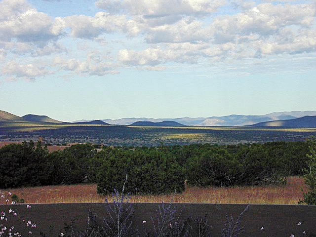 71 Via Pampa