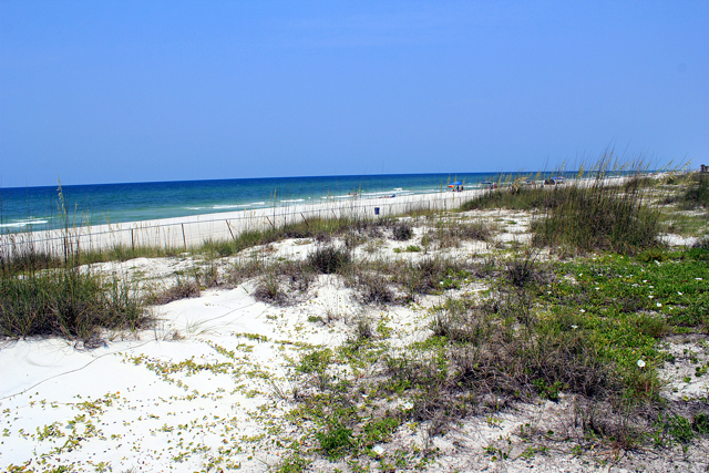 17851 Front Beach Road