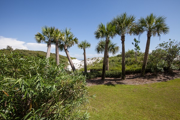 460 Beachfront Trail