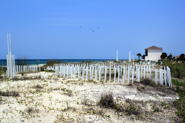 17851 Front Beach Road