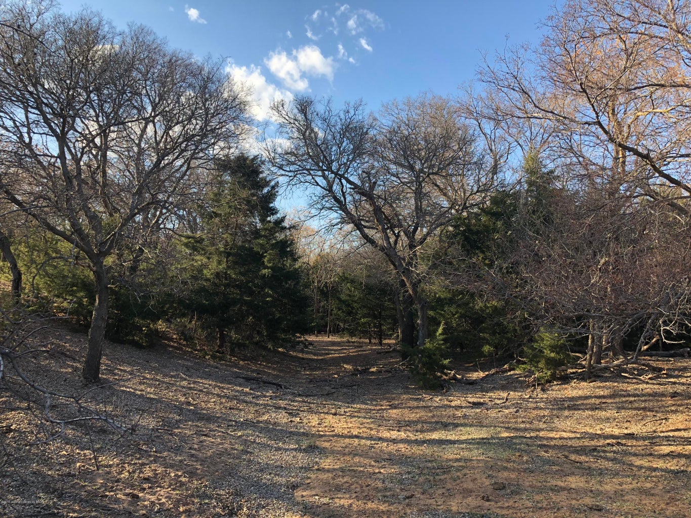 Excellent hunting tract! 320 acres located approximately a half mile west of the end of County Road L coming from paved FM 1547, about 7 miles north of Quail on the south side of the Salt Fork of the Red River. This tract is in native grass, brush, hardwoods, big trees and sandhills all providing grazing and shade for cattle and excellent cover for wildlife including deer, turkey, dove, quail, wild hogs, and varmints. LEGAL DESCRIPTION: 320 acres, more or less, in Section 3, Block 22, H & GN Ry. Co. Survey, Collingsworth County, Texas. MINERALS: Subject to previous reservations of record. Half of any mineral estate owned will convey. WIND & Water: All wind and water rights will convey to buyer. IMPROVEMENTS: None.

FENCES: Fair to Good. Not a fence on east boundary line.
SURVEY: Yes
FSA BASE ACREAGE: This 320 acres is not in any government programs.
WATER: No well. Spring tank in the northwest corner.
UTILITIES: Electric line and meter on south end of property.
POSSESSION: Upon closing and funding.
HUNTING LEASE: None in place.
PERSONAL PROPERTY: None.