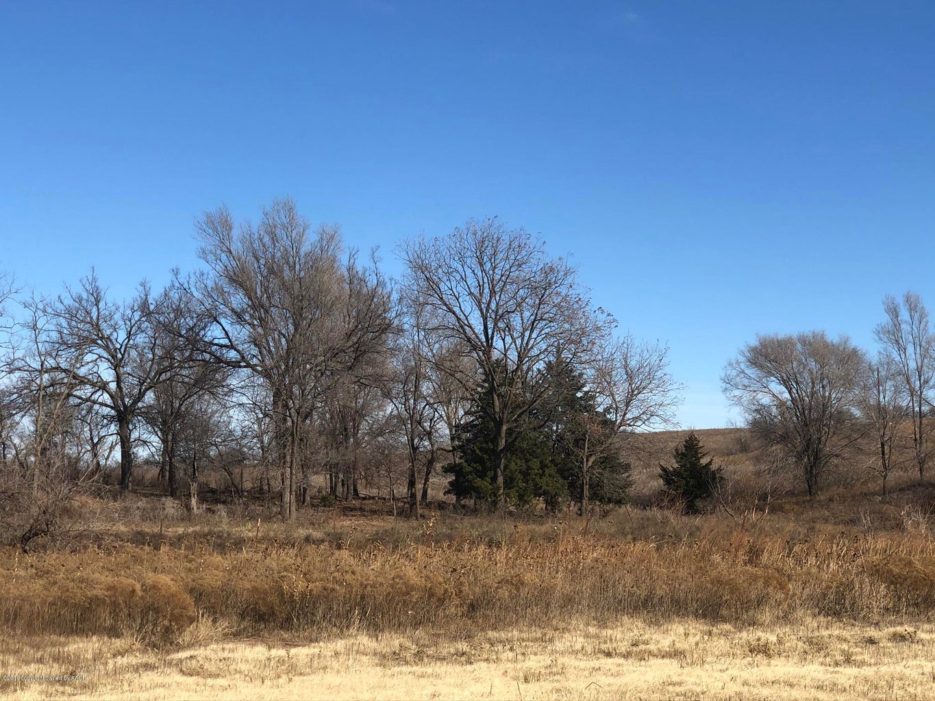 551.48 acres, more or less of excellent hunting and grazing with a mile of Interstate 40 Service Road frontage (N side of I-40), just 9 miles east of Shamrock. Approximately 74.56 acres is cultivated land, currently in wheat, with the remaining 476.92 acres in native pasture, trees, shinnery, hackberry, scattered tree groves and thick brush. This all provides grazing and shade for cattle as well as excellent cover for wildlife. Wildlife includes white tail deer, mule deer, turkey, dove, quail, wild hogs, varmints and mule deer. With panoramic views from the old homestead site, it would make an excellent location to build a new home, barn dominium, or hunting cabin upon. The old Chicago, Rock Island and Pacific Railroad meandered just across the north boundary of this section. (see more

The old Fuller School was located just across the road from the northwest corner. North Elm Creek crosses the very tip of the southwest corner of this section. This property is located just 3 miles from the Texas/Oklahoma border and is only 105 miles from Amarillo, 161 miles from Oklahoma City, 176 from Wichita Falls, 204 from Lubbock and 290 from Fort Worth.
LEGAL DESCRIPTION: 551.48 acres, more or less; in Section 57, Block 13, H&GN Ry. Co. Survey, Wheeler County, Texas.
MINERALS & MINERAL RIGHTS: There are no minerals available to convey. There is no production on the property.
IMPROVEMENTS: Metal cattle pens and water well on the east side of the property. Metal haybarn/equipment shed located on the north side of the property.
FENCES: Fair to good four and five strand barbwire perimeter fence.
TOPOGRAHY: There are several ideal locations for hunting blinds, food plots and game feeders.
FSA BASE ACREAGE: No acres participating in the programs. 74.56 acres of cultivation, currently in wheat.
WATER: Water well with solar powered submersible pump.
UTILITIES: Greenbelt Electric Co-op, Inc line and meter on the south side at the old homestead location. Line also runs along the west side of County Road 26.
SURFACE WATER: Small pond catching the overflow from stock tank at the well.
WATER RIGHTS: All water rights will convey to buyer.
WATER CONSERVATION DISTRICT: Panhandle Groundwater Conservation District (PGCD)
WIND RIGHTS: All wind rights will convey to buyer.
ZONING: Agricultural. Located outside of any municipality.
TAXING DISTRICT: Taxes for 2020 are $1,040.54
EASEMENTS & RIGHTS-OF-WAY: Any easements or rights-of-way are not expected to affect the operations of this ranch. Commitment for Title Insurance will identify all existing easements and rights-of-way.
POSSESSION: Upon closing and funding.
HUNTING LEASE: Expired January 3, 2021.
GRAZING LEASE: Expires December 31, 2021.
STOCKING RATE: 20 acres per head of livestock..
PERSONAL PROPERTY: No personal property to convey.