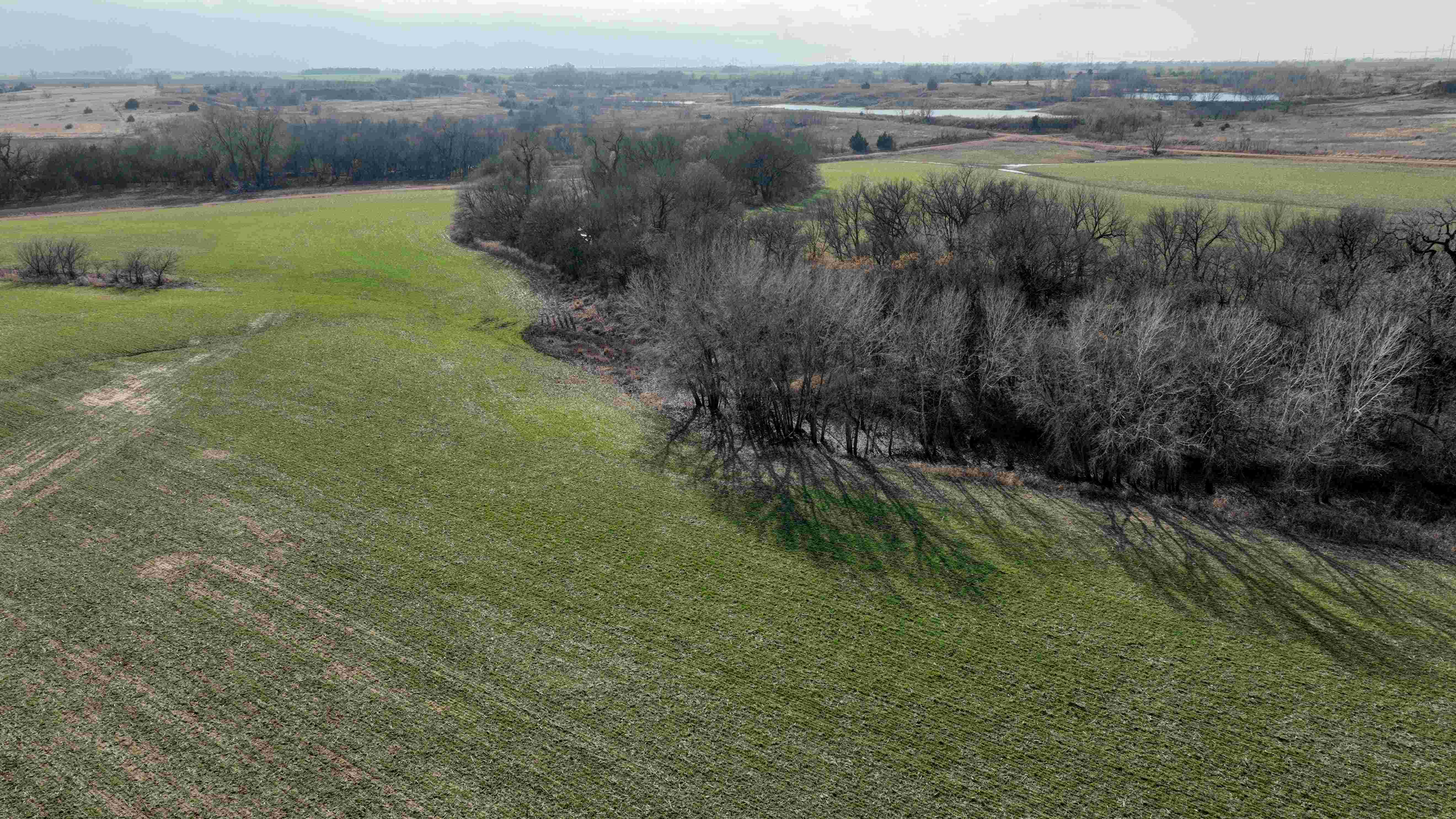 County Rd 1000/Kay Road