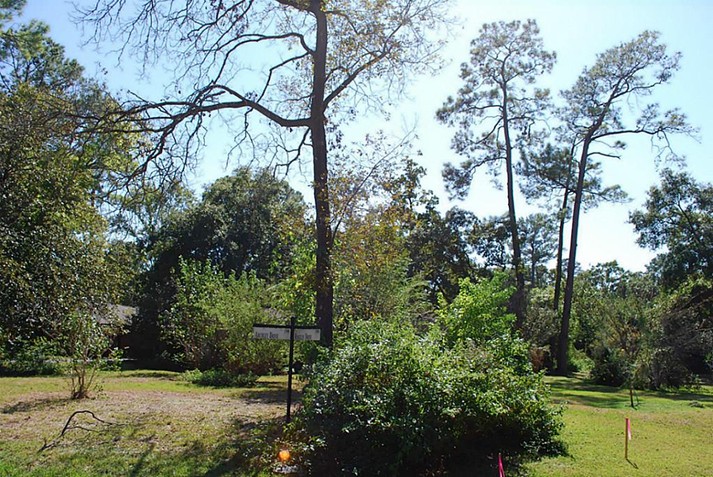 1249 Ridgeley Dr
