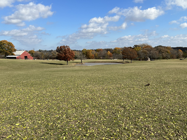 8358 County Road 172