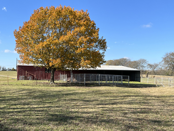 8358 County Road 172