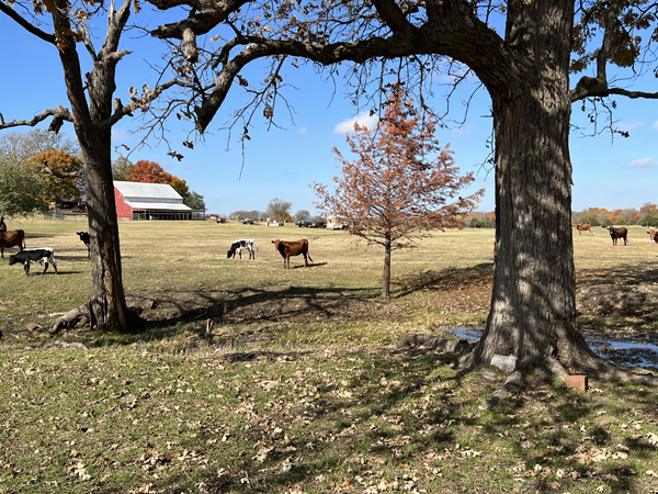 8358 County Road 172