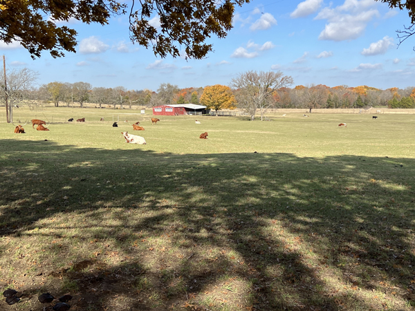 8358 County Road 172