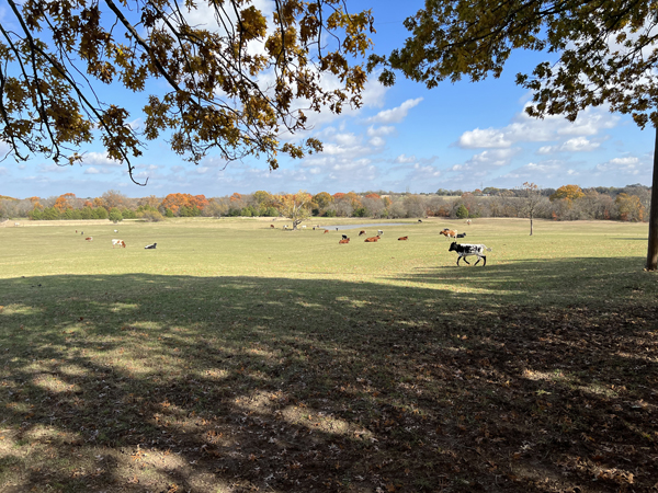 8358 County Road 172