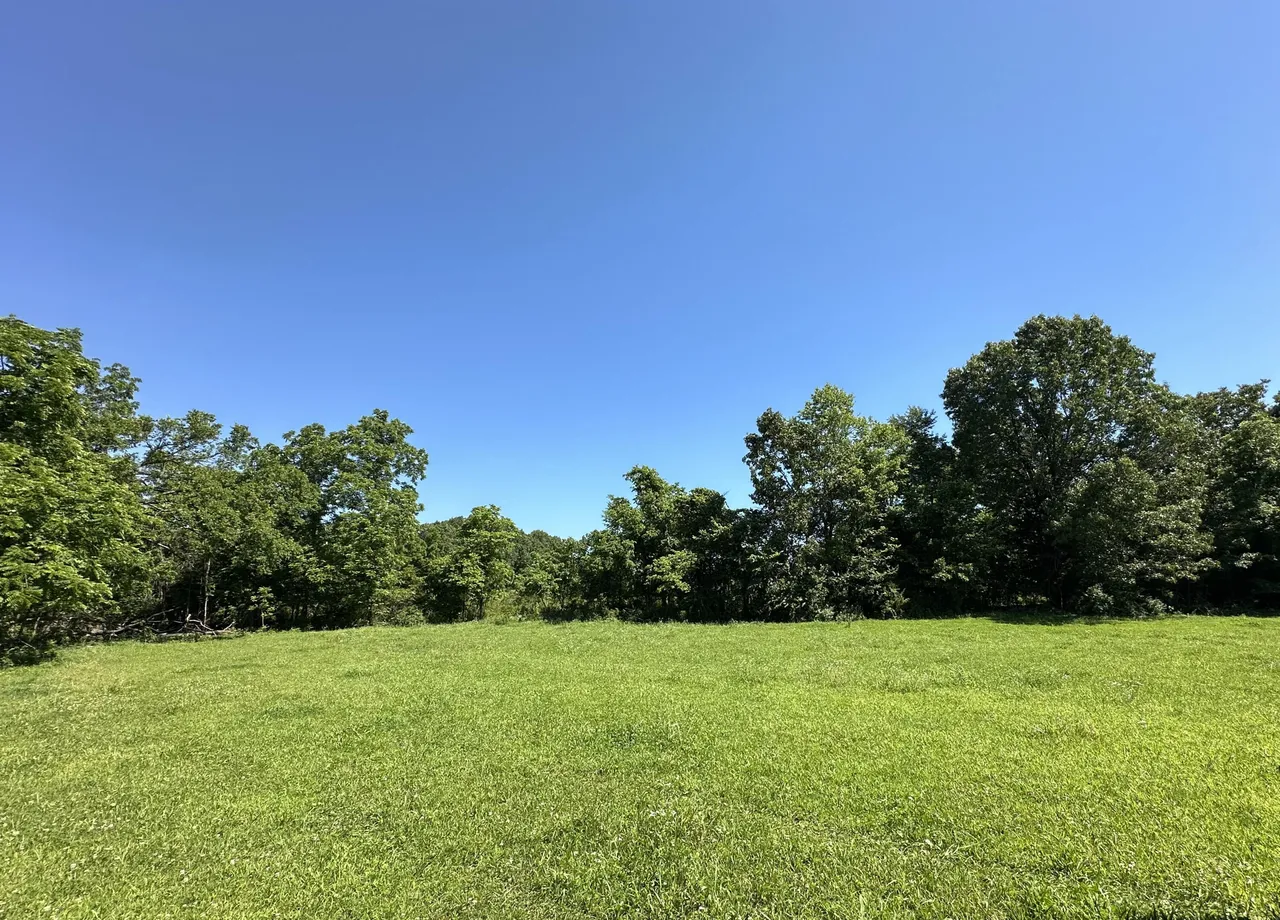 443 Marsha Rd, Billings, MO