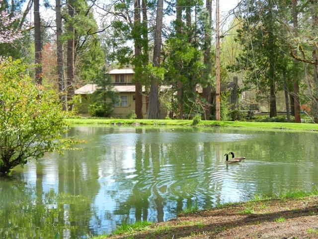 12214 Modoc Rd
