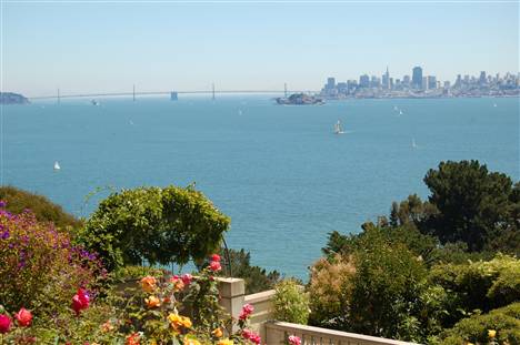 433 Golden Gate Ave