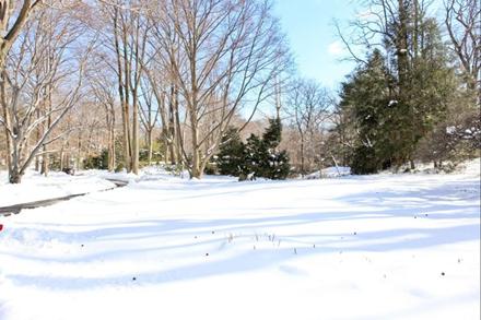71 Griffen Avenue