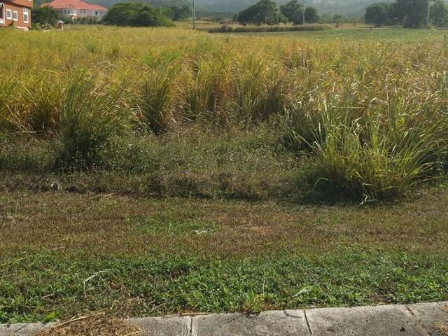LOT119 PLANTATION VILLAGE
