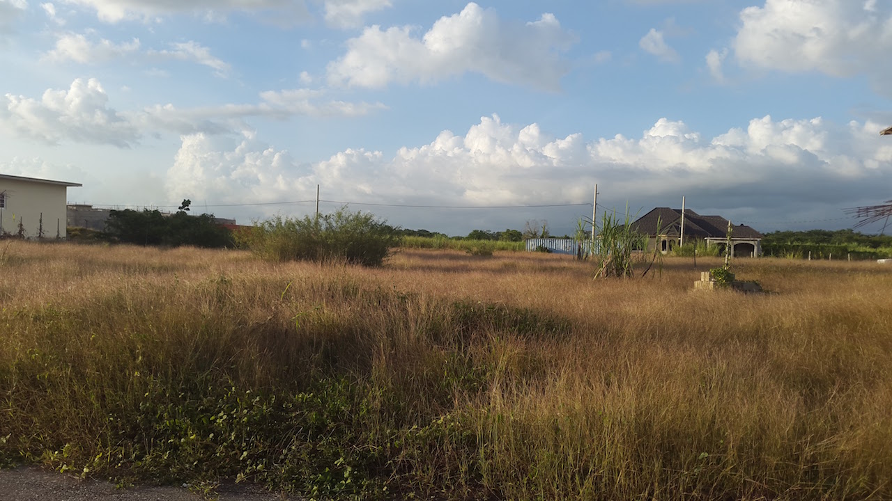 Emmaville 77