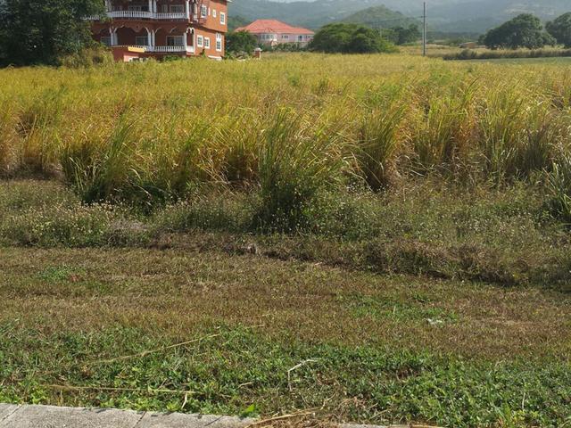 LOT119 PLANTATION VILLAGE