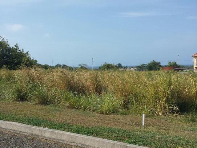 LOT119 PLANTATION VILLAGE