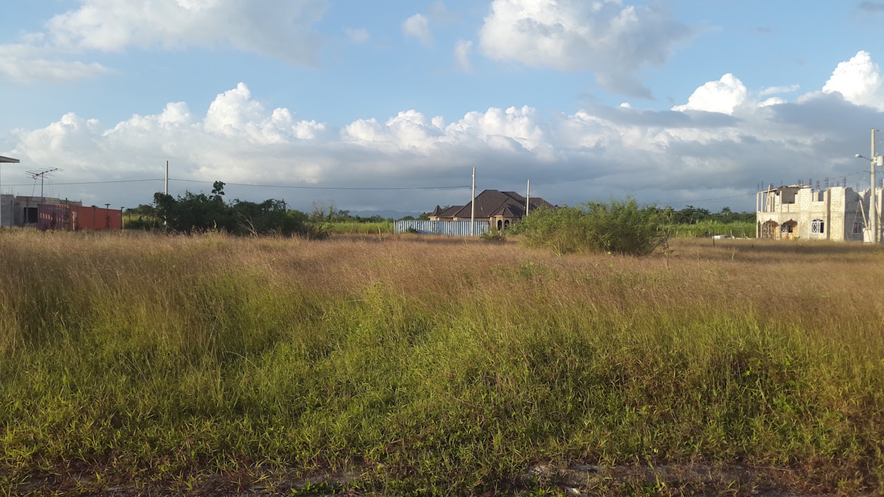 Emmaville 77
