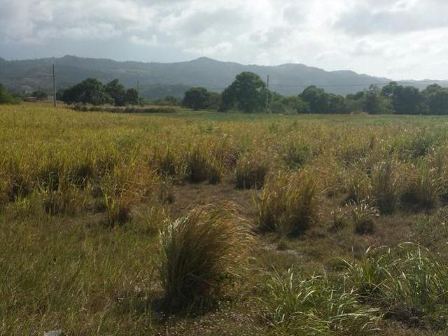 LOT119 PLANTATION VILLAGE