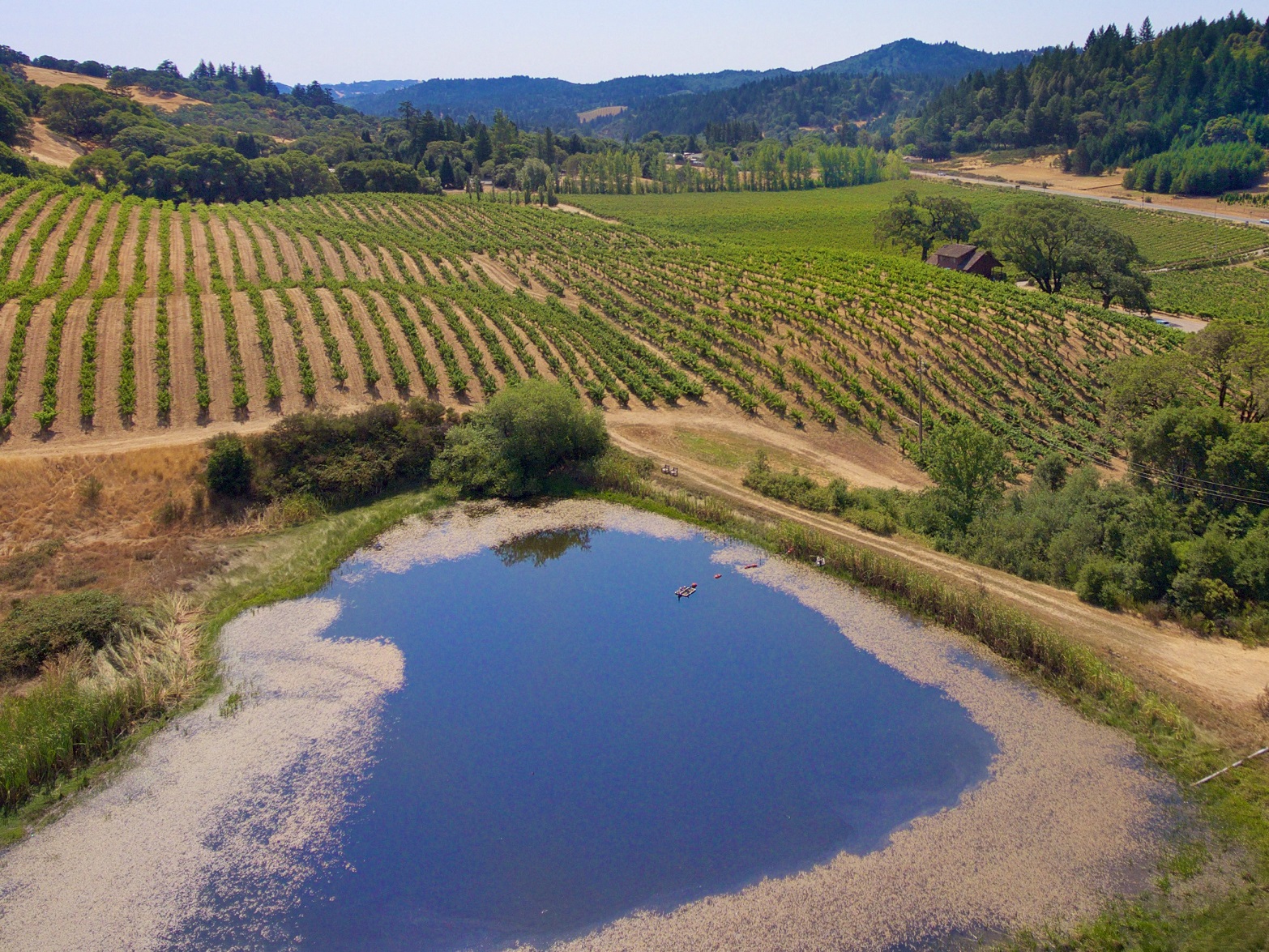 Estate Vineyard and Tasting Room