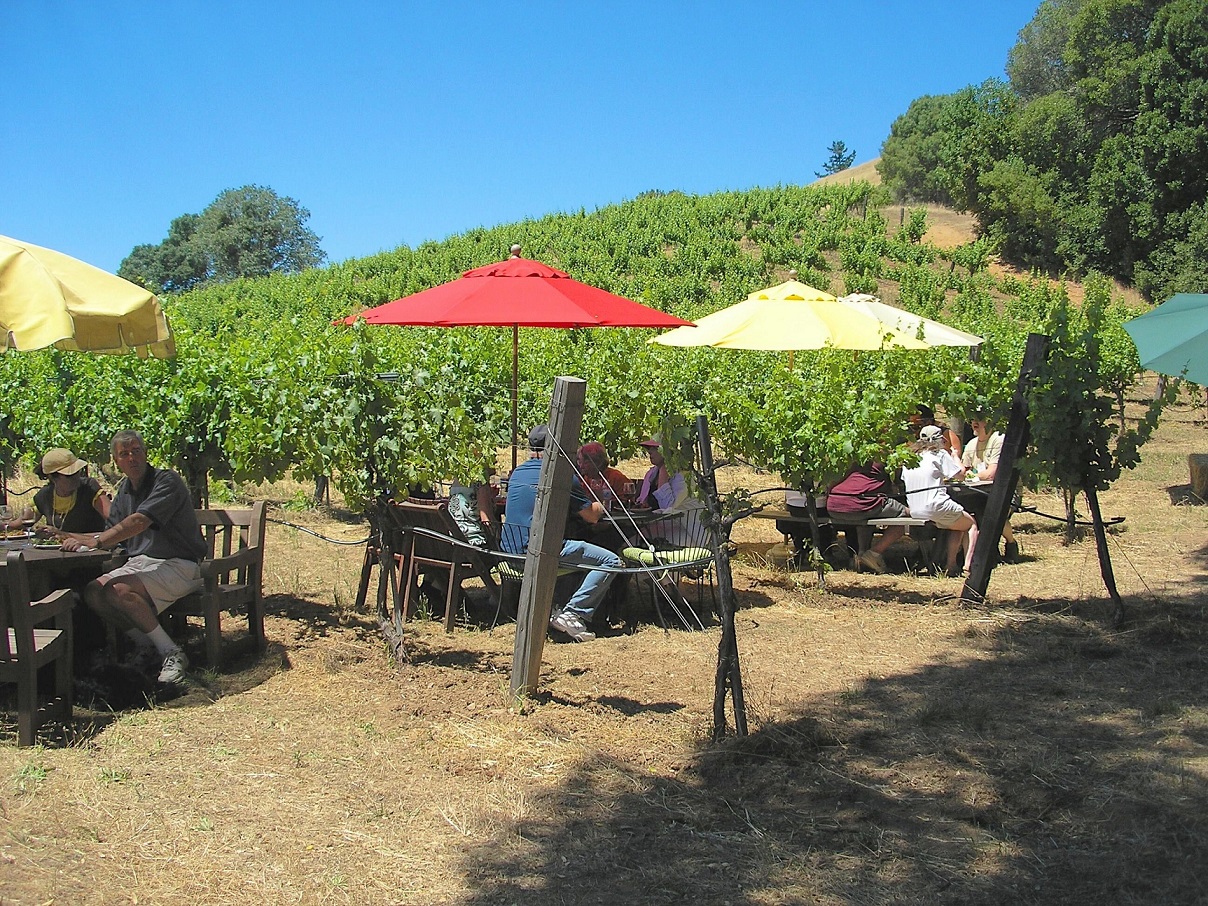 Estate Vineyard and Tasting Room
