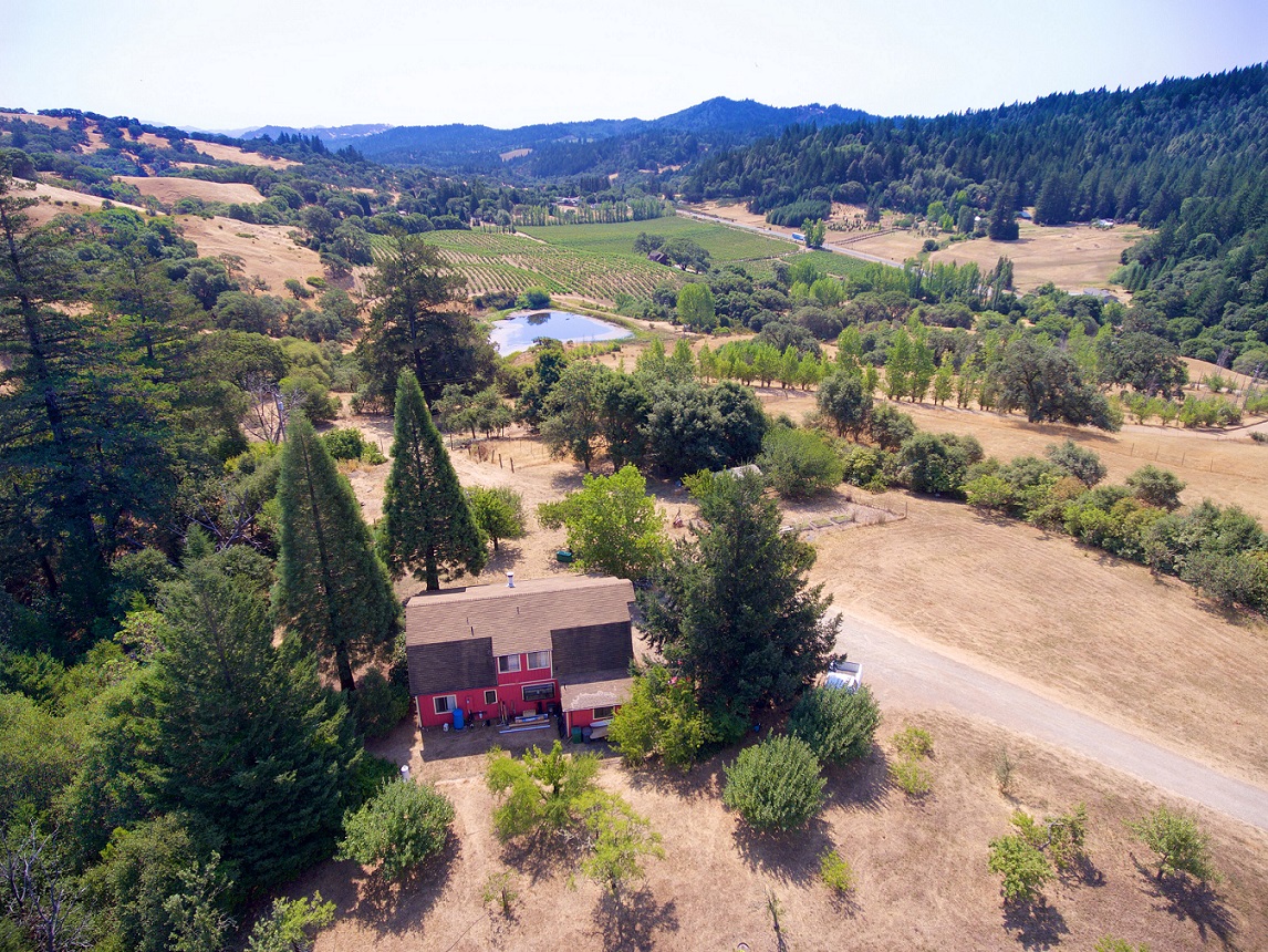 Estate Vineyard and Tasting Room