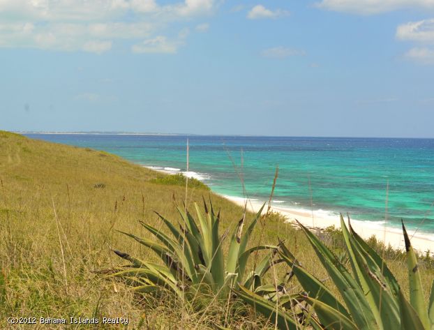 THIRTY TWO ACRES BEACHFRONT GREGORY TOWN