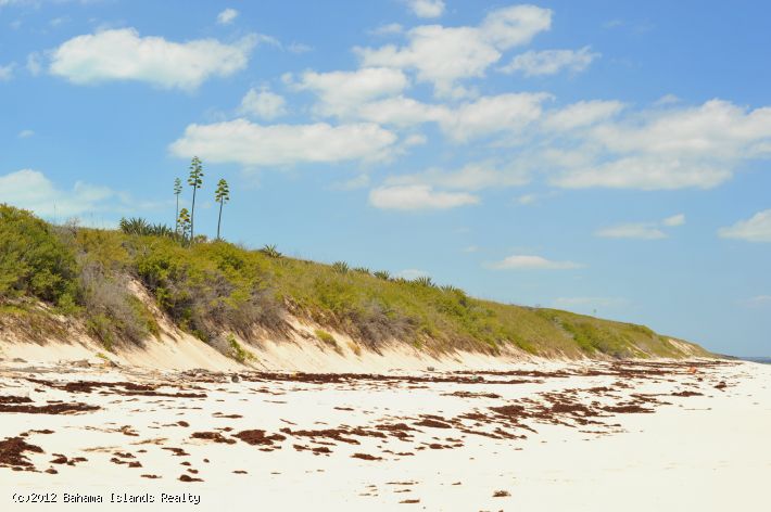 THIRTY TWO ACRES BEACHFRONT GREGORY TOWN
