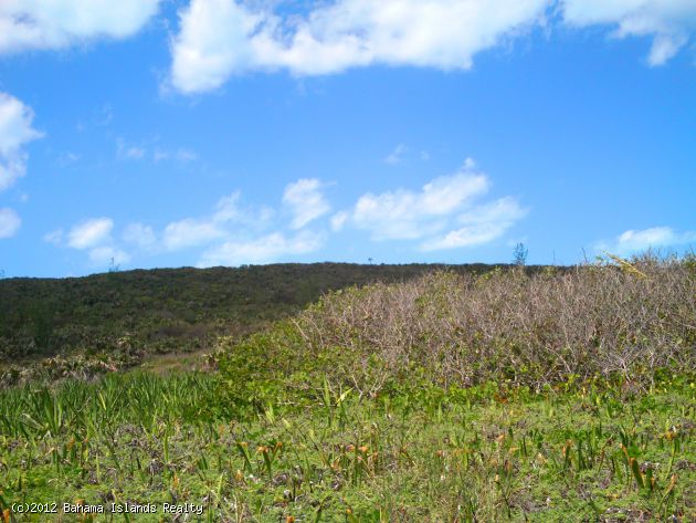 THIRTY TWO ACRES BEACHFRONT GREGORY TOWN