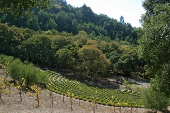 1820 Calistoga Road
