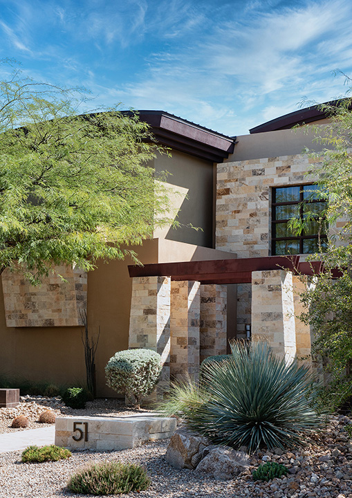 51 Meadowhawk