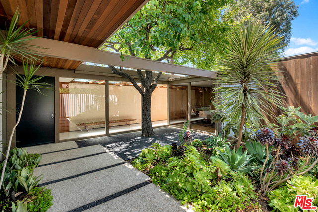 9557 Lime Orchard