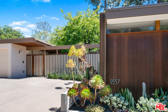 9557 Lime Orchard