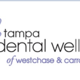 Tampa Dental Wellness logo