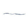 Jennifer Silvers, DDS