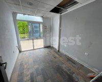 Commercial in Algorfa (La Finca Golf) (2)