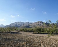 Land in Murcia (0)