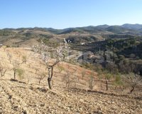 Land in Murcia (1)