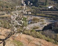 Land in Murcia (2)