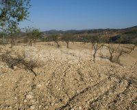 Land in Murcia (3)