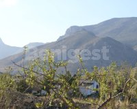 Land in Murcia (5)