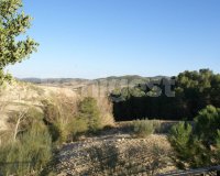 Land in Murcia (8)