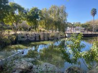 Two bedroom quad Benimar (20)