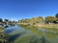 Two bedroom quad Benimar (19)