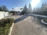 Spacious Finca  (21)