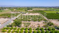 Land in Formentera de Segura (7)
