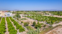Land in Formentera de Segura (2)