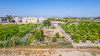 Land in Formentera de Segura (1)